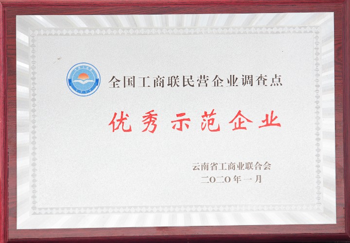 荣获优秀示范企业荣誉